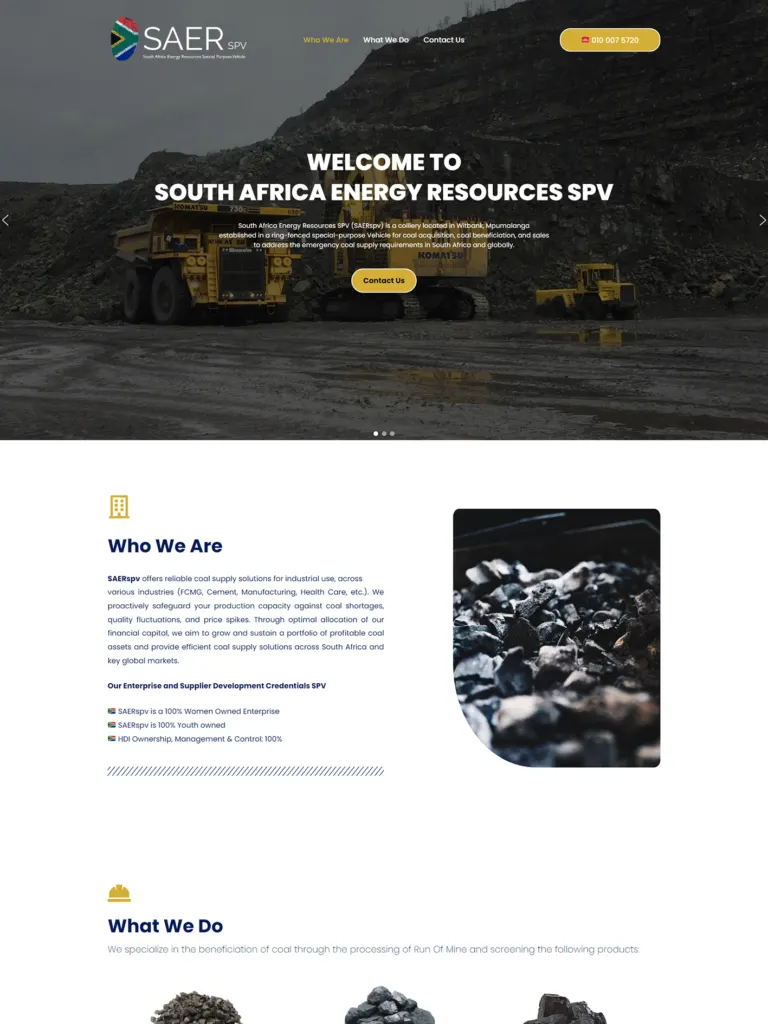 SAER, Website Design
